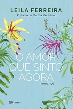 O amor que sinto agora: Romance, do autor Leila Ferreira