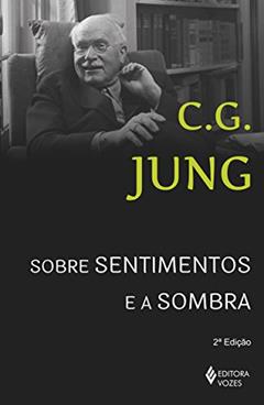 Sobre sentimentos e a sombra: Sessões de perguntas de Winterhur, do autor C.G. Jung