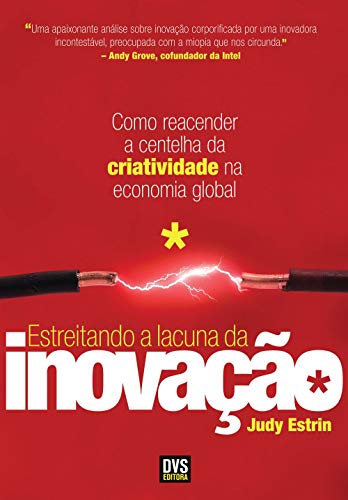 Ler Estreitando a Lacuna da Inovação: Como reacender a centelha da criatividade na economia global, do autor Judy Estrin