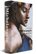 Ler Michelangelo - Uma Vida Épica, do autor Martin Gayford