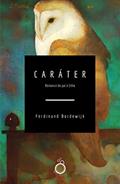 Ler Caráter: História de pai e filho, do autor Ferdinand Bordewijk