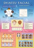 Ler Mapa Shiatsu Facial: Técnicas de Aplicação do Shiatsu Para o Rejuvenescimento, Visando o seu Aspecto Preventivo, Estético e Terapêutico, do autor Aridinéia Vacchiano