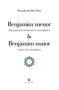Ler Benjamim Menor (da Preparação Da Alma Para A Contemplação) E Benjamim Maior (a Graça Da Contemplação), do autor Ricardo De São Vítor