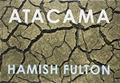 Ler Atacama, do autor Hamish Fulton
