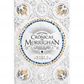 Ler Crônicas de Morrighan: A origem do sentimento que ergueu um novo reino, do autor Mary Pearson