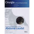 Ler Cirurgia na Clínica de Pequenos Animais - Abdome Caudal, do autor Gomez