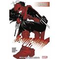 Ler Demolidor Vol. 8, do autor Chip Zdarsky
