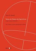 Ler Textos do Trópico de Capricórnio: Artigos e Ensaios (1980-2005): Bienais e Artistas Contemporâneos no Brasil: Volume 3, do autor Aracy A. Amaral