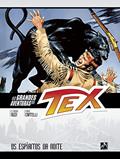 Ler As grandes aventuras de Tex - volume 5: Os espíritos da noite, do autor Claudio Nizzi