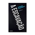 Ler A Escavação, do autor Andrei Platonov