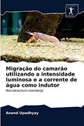 Ler Migração do camarão utilizando a intensidade luminosa e a corrente de água como indutor: Macrobrachium rosenbergii, do autor Anand Upadhyay Ler Migração do camarão utilizando a intensidade luminosa e a corrente de água como indutor: Macrobrachium rosenbergii, do autor Anand Upadhyay