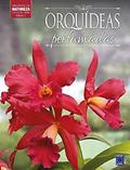 Ler Coleção Rubi Volume 2 - Orquídeas Perfumadas, do autor Editora Europa