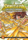 Ler Cavaleiros do Zodíaco - Lost Canvas Especial - Vol.17, do autor Masami Kurumada; Shiori Teshirogi Ler Cavaleiros do Zodíaco - Lost Canvas Especial - Vol.17, do autor Masami Kurumada; Shiori Teshirogi