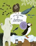 Ler Mini Curiosos Montam O Ártico, do autor Clarice Uba Ler Mini Curiosos Montam O Ártico, do autor Clarice Uba