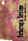 Ler Verborragia Serelepe, do autor Bruno Madeira
