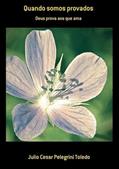 Ler Quando Somos Provados, do autor Julio Cesar Pelegrini Toledo