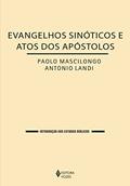 Ler Evangelhos Sinóticos e Atos dos Apóstolos, do autor Paolo Mascilongo; Antonio Landi