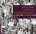 Ler Artes visuais:: práticas tridimensionais, do autor Ivane Angélica Carneiro