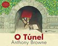 Ler O túnel, do autor Anthony Browne