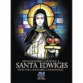 Ler Devocionário e novena a Santa Edwiges: Protetora dos Pobres e Endividados - Editora Ave Maria, do autor Editora Ave-Maria