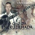 Ler Robert Johnson - O Cão Da Encruzilhada, do autor Estevão Ribeiro