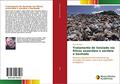Ler Tratamento de lixiviado via filtros anaeróbio e aeróbio e banhado: Sistema sequencial de tratamento de lixiviados de baixo custo e sem dispêndio energético, do autor Eduardo Fleck