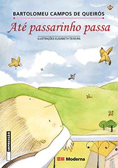 Até Passarinho Passa, do autor Bartolomeu Campos de Queiroz