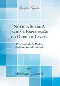 Ler Noticia Sobre A Jazida e Exploracão do Ouro em Lavras: Provincia de S. Pedro do Rio Grande do Sul (Classic Reprint), do autor Henrique Gorceix