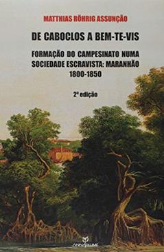 De Caboclos a Bem-Te-Vis - Formacao do Campesinato Numa Sociedade Escr, do autor Matthias Rhrig Assunção