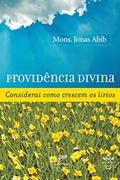 Ler Providência divina: Considerai como crescem os lírios, do autor Monsenhor Jonas Abib