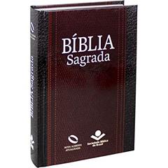 Bíblia Sagrada NAA Letra Maior: Nova Almeida Atualizada (NAA), do autor Sociedade Bíblica do Brasil