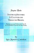 Ler Instrucções para A Cultura do Trigo no Brazil: Reimpressas por Ordem de S. Ex. O Sr. Conselheiro Antonio da Silva Prado (Classic Reprint), do autor Luiz Monteiro Caminhoá Ler Instrucções para A Cultura do Trigo no Brazil: Reimpressas por Ordem de S. Ex. O Sr. Conselheiro Antonio da Silva Prado (Classic Reprint), do autor Luiz Monteiro Caminhoá
