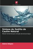 Ler Síntese de Zeólito de Caulim Natural: Método hidrotermal para remoção da dureza da água, do autor Adane Adugna Ler Síntese de Zeólito de Caulim Natural: Método hidrotermal para remoção da dureza da água, do autor Adane Adugna