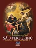 Ler Devocionário e novena a São Peregrino: Protetor Contra o mal do Câncer, do autor Editora Ave-Maria