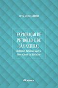 Ler Exploração de Petróleo e de Gás Natural: Reflexões Jurídicas Sobre a Oneração de tal Atividade, do autor Auta Alves Cardoso