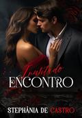 Ler Inusitado Encontro, do autor Stephânia de Castro