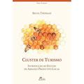 Ler Cluster de turismo: Introdução ao estudo de arranjo produtivo local, do autor Silvia Thomazi Ler Cluster de turismo: Introdução ao estudo de arranjo produtivo local, do autor Silvia Thomazi