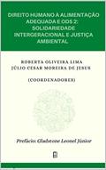 Ler Direito Humano à alimentação adequada e ODS2: solidariedade intergeracional e justiça ambiental, do autor Roberta Oliveira Lima; Júlio César Moreira de Jesus