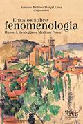 Ler Ensaios sobre fenomenologia: Husserl, Heidegger e Merleau-Ponty, do autor Antonio Balbino Marçal Lima