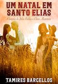 Ler Um Natal em Santo Elias, do autor Tamires Barcellos