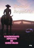 Ler Boemia Rapsodia, do autor R Machado