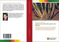 Ler Cultivo de Cana-de-açúcar em Paraty: Características socioeconômicas, edáficas e produtivas da matéria prima da cachaça reconhecida como Indicação Geográfica, do autor Giovane Leal de Souza Silva
