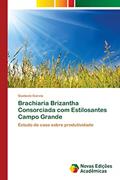 Ler Brachiaria Brizantha Consorciada com Estilosantes Campo Grande: Estudo de caso sobre produtividade, do autor Gustavio Garcia