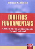 Ler Direitos Fundamentais - Análise de sua Concretização Constitucional, do autor Bruno Galindo