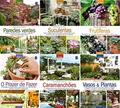 Ler Coleção Seu Jardim (Completa - 6 volumes), do autor Editora Europa