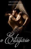 Ler O estagiário, do autor Sheila Cristina Ler O estagiário, do autor Sheila Cristina