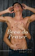 Ler Beco do Prazer [Conto Erótico] (Contos Gays No Sigilo Livro 4), do autor A P Wilson