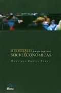 Ler Amostragem em Pesquisas Socioeconômicas, do autor Henrique Dantas Neder