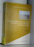 Ler estratégias de reprodução socioeconómica das unidades familiares, do autor Manuela Ribeiro