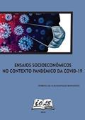 Ler Ensaios Socioeconômicos No Contexto Pandêmico Da Covid-19, do autor Romero De Albuquerque Maranhão Ler Ensaios Socioeconômicos No Contexto Pandêmico Da Covid-19, do autor Romero De Albuquerque Maranhão